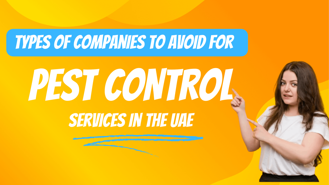 types-of-companies-to-avoid-for-pest-control-services-in-the-uae-uae